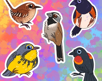Songbirds Vinyl Stickers: Black Throated Sparrow, Canada Warbler, Winter Wren, Red-winged Blackbird, Eastern Towhee