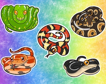 Snakes Vinyl Stickers/Decals: Ball Python, Black Rat Snake, Corn Snake, Green Tree Python, and King Snake Individuals and Sets