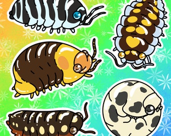 Isopods Vinyl Stickers/Decals: Clown, Dairy Cow, High Yellow, Rubber Ducky, and Zebra Isopods Individuals and Sets