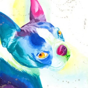 Watercolour Rainbow Boston Terrier Dog Print