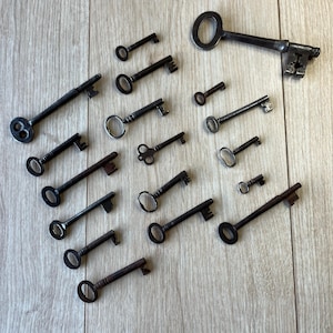 May include: A collection of fifteen dark metal skeleton keys of varying sizes and designs. Each key features a circular or oval bow, a slender shank, and a unique bit pattern at the end. The keys are arranged in a scattered layout, showcasing different lengths and intricate metalwork details across the set.