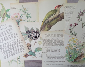 The Country Diary of An Edwardian Lady: A facsimile reproduction of a