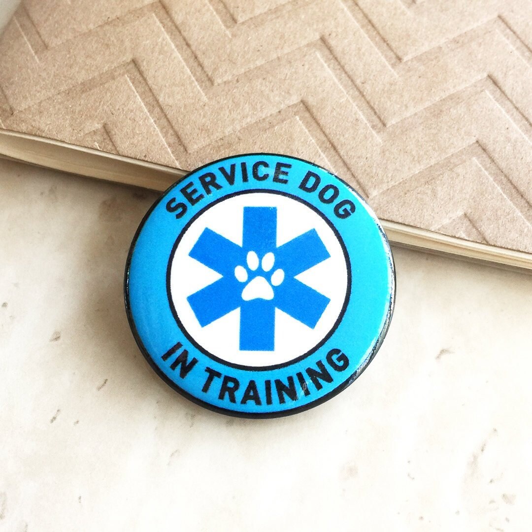 Service Dog in Training Metal badge for vests harnesses & Etsy