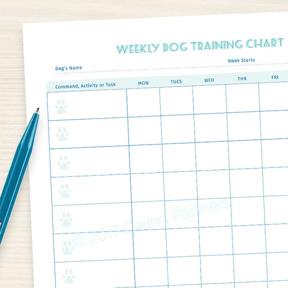 Dog Training Schedule Template from i.etsystatic.com