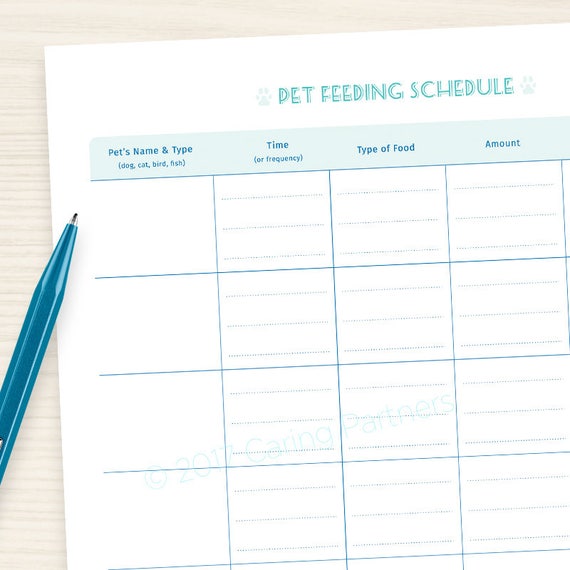 pet-feeding-schedule-pdf-instant-download-printable-good-etsy