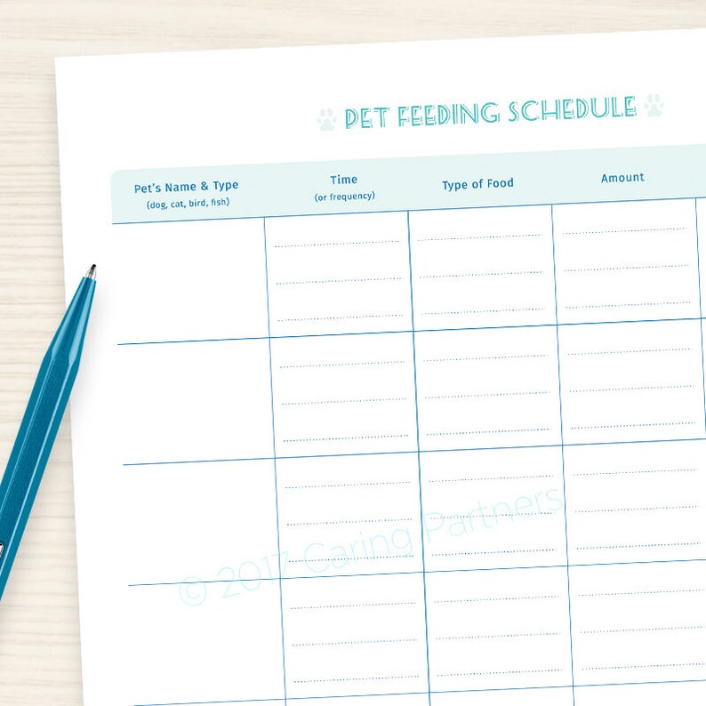Pet Feeding Schedule PDF Instant Download Printable Good Etsy