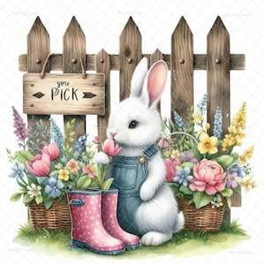 Frühling Hase PNG, Sublimation, digital, DTF, Hasenbilder, Frühlingsabziehbild, Frühlingshase, PNG Grafiken, Wasserschiebebilder, Tumbler Grafiken