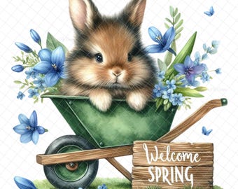 Spring bunny PNG, Sublimation, digital, DTF, spring chick graphic, spring images, waterslide image, spring chick sublimation, digital