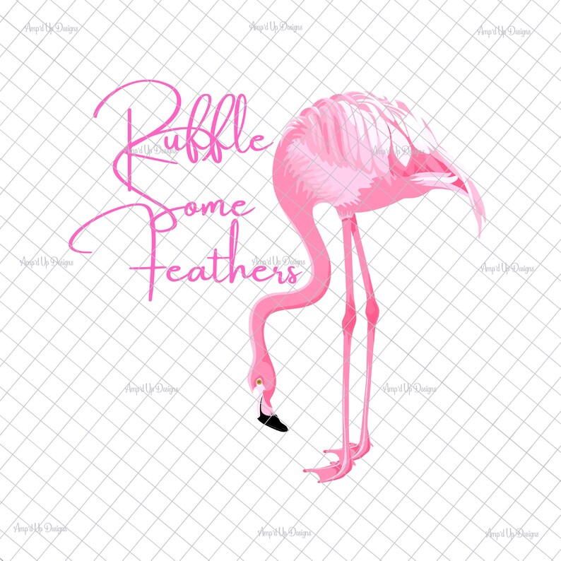 flamingo image flamingo waterslide images Ruffle some feathers PNG flamingo decal tumbler graphics PNG graphics sublimation download