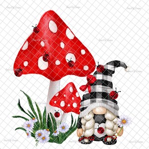 Gnomo coccinella PNG, Gnome estivo PNG, sublimazione gnomo, tumblers coccinella, immagini gnomo estivo, decalcomania gnome estiva, tumblers gnome