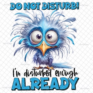 Ne pas déranger le poulet PNG, graphiques PNG, gobelets, sticker drôle, sublimation, téléchargement de poulet drôle, images de toboggan aquatique de poulet, gobelets