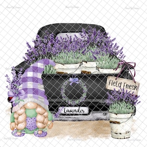 Camion gnome de lavande PNG, graphiques PNG, sublimation, image de gnome, décalcomanie de gnome, lavande, décalcomanie de lavande, images de toboggan aquatique, graphiques de gobelet