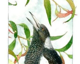 Young Magpie after Rain. 4 Card Set.