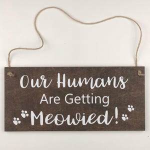 Letrero de boda de gato: ¡Nuestros humanos están maullando! - Letrero de madera de arce hecho a mano: es una manera purr'fecta de involucrar a tus bolas de pelo de cuatro patas.
