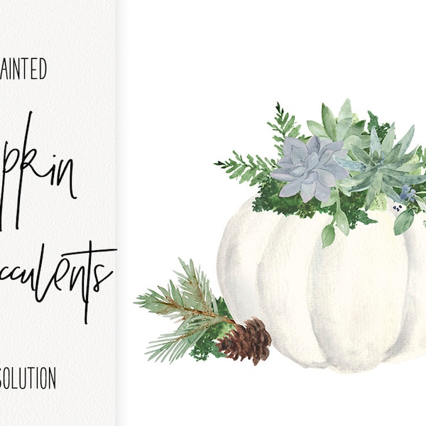 White Pumpkin and Succulent Fall watercolor png Clip Art INSTANT DOWNLOAD