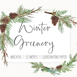 Winter Watercolor Greenery Clip Art 7 piece set-  INSTANT DOWNLOAD