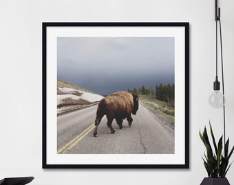 Street Walker by Kevin Russ Art Print