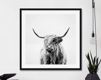Portrait of a Highland Cow by Dorit Fuhg Art Print