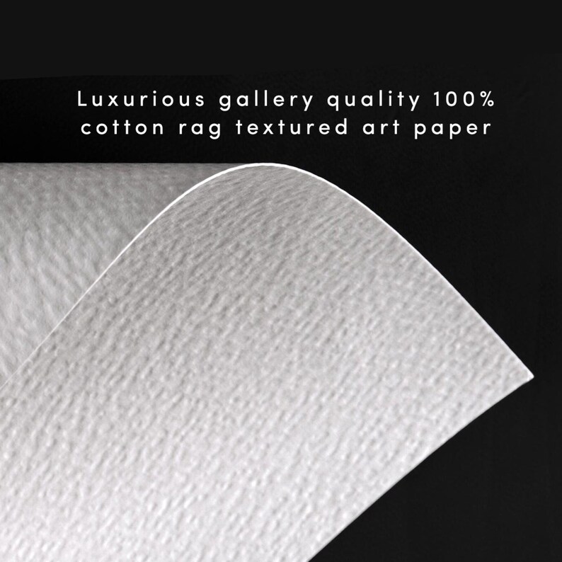 Pu&ograve; includere: Primo piano di una carta da disegno bianca testurizzata. La carta ha una texture sottile e ruvida, simile alla sensazione del cotone. Il testo "Luxurious gallery quality 100% cotton rag textured art paper" &egrave; stampato nella parte superiore dell'immagine.