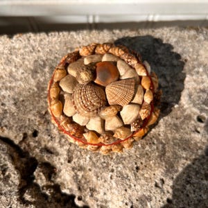 May include: A round decorative object made of various seashells, small stones, and a red thread border. The shells are in shades of beige, brown, and tan, creating a natural, coastal theme.