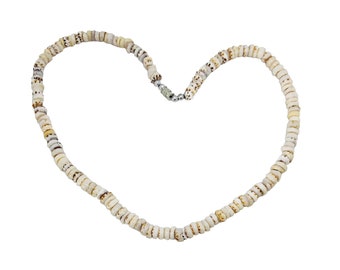 Hawaiian Jewelry Handmade All Natural Tiger Puka Shell Choker Necklace from Maui, Hawaii