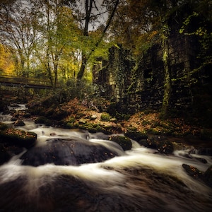 Puede incluir: Una ruina de piedra cubierta de musgo se alza junto a un arroyo que corre en un bosque exuberante. La luz del sol se filtra a través de los árboles, iluminando el agua y las hojas caídas. Un puente de madera cruza el arroyo en el fondo.