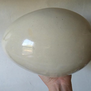 Op de afbeelding: Een groot, glad, eivormig object met een glanzende, gebroken witte afwerking. Het oppervlak heeft een reflecterende kwaliteit met subtiele variaties in tint, met een lichte crèmekleur over de gehele afgeronde, ovale vorm van dit item.