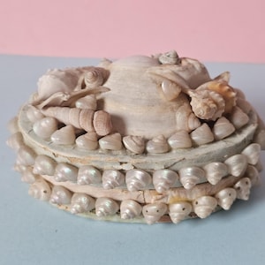 May include: A decorative seashell box, handcrafted with a lid. The box is round and decorated with various seashells. The box is primarily beige and white, with some iridescent shells. The box is on a light blue surface.