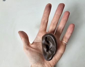 Orecchio di cera antico