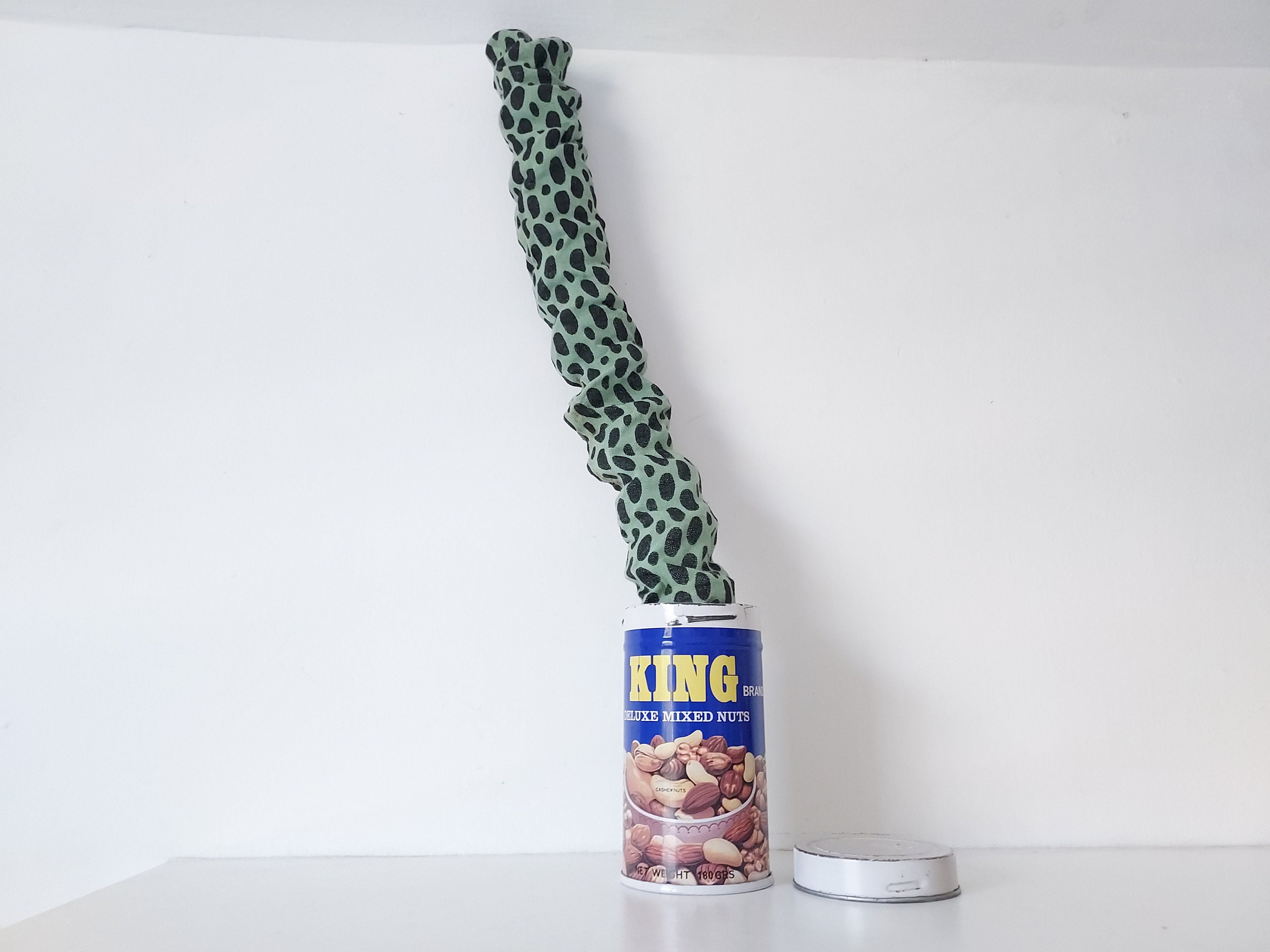 Snake in a Can