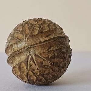Antique Carved Nut Thimble Holder