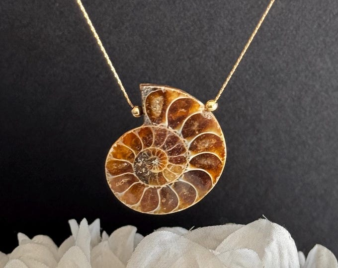 Ammonite Fossil Necklace • Real Spiral Pendant • Gold Filled or Sterling Silver • Minimal Natural Jewelry