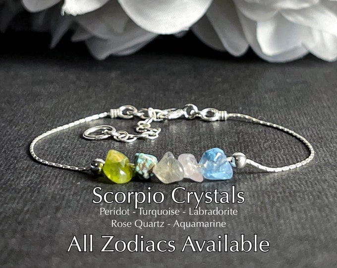 Scorpio Bracelet Astrology Gifts Anklet Zodiac Gift