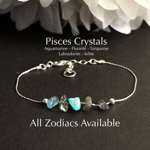 Scorpio Sagittarius Capricorn Gemini Pisces Bracelet Anklet