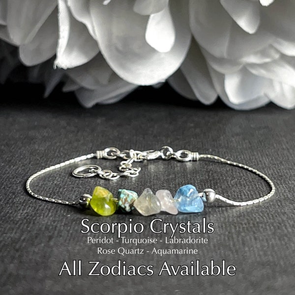 Scorpio Bracelet Astrology Gifts Anklet Zodiac Gift
