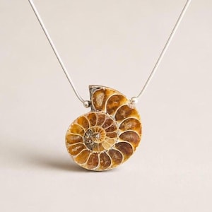 Ammonite Fossil Necklace Pendant Jewelry Gift Women Statement Piece Genuine Stone Spiral Shell Prehistoric Specimen Natural History