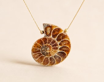 Ammonit Fossil Halskette • Echter Spiral Anhänger • Gold Filled oder Sterling Silber • Minimaler natürlicher Schmuck
