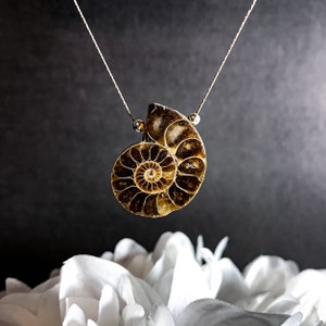 Fossil Ammonite Necklace Shell Pendant Sterling Silver Dainty Chain Necklace