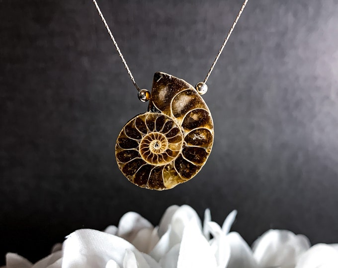 Fossil Ammonite Necklace Shell Pendant Sterling Silver Dainty Chain Necklace