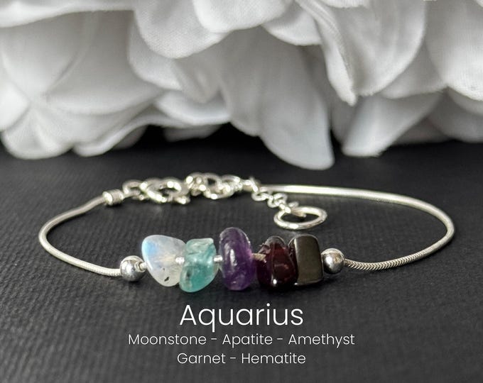 Aquarius Pisces Aries Taurus Bracelet Astrology Gifts Anklet Zodiac Gift