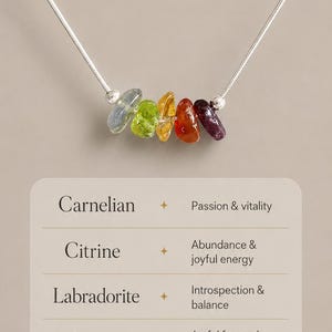 Pu&ograve; includere: Una collana a catena argentata con cinque piccoli cristalli lucidi multicolori: corniola, citrino, labradorite, granato e peridoto. Il testo recita 5 Crystals for Leo, Passion, Abundance, Good Fortune e Shop the Leo Necklace.