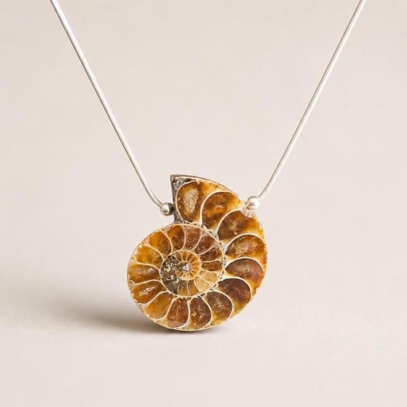 Statement Piece Jewelry Gift Women Genuine Ammonite Fossil Necklace Pendant Ancient Spiral Shell Pattern Prehistoric Specimen Natural History Enthusiast Present Golden Brown Amber Tones Sterling Silver Chain Yellow Gold Option Bohemian