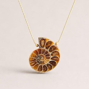 Natural History Jewelry Genuine Ammonite Fossil Pendant Necklace Prehistoric Marine Specimen Ancient Spiral Chambered Pattern Statement Piece Gift Women Golden Brown Amber Stone Sterling Silver Chain Geological Collector Treasure Bohemian