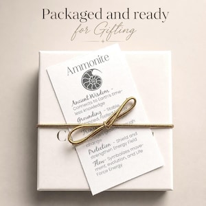 K&ouml;nnte beinhalten: Eine wei&szlig;e Geschenkbox, die mit einem goldenen Faden gebunden ist, mit zwei wei&szlig;en Anh&auml;ngern. Die Anh&auml;nger tragen die Aufschrift "Ammonit" und listen Eigenschaften wie "Alte Weisheit" und "Erdung" auf. Der Text "Verpackt und bereit zum Verschenken" steht oben.