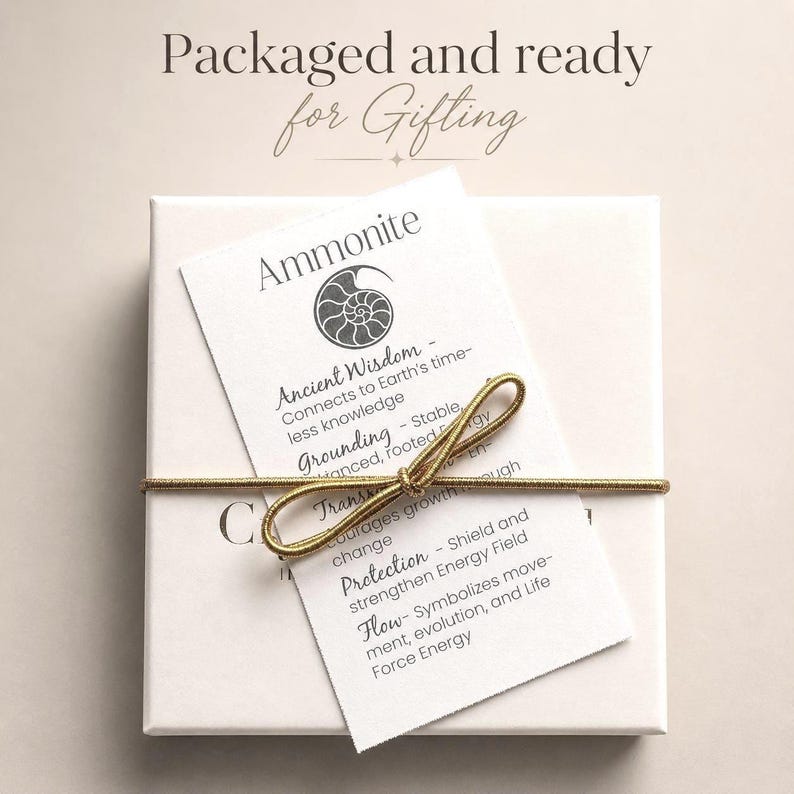 K&ouml;nnte beinhalten: Eine wei&szlig;e Geschenkbox, die mit einem goldenen Faden gebunden ist, mit zwei wei&szlig;en Anh&auml;ngern. Die Anh&auml;nger tragen die Aufschrift "Ammonit" und listen Eigenschaften wie "Alte Weisheit" und "Erdung" auf. Der Text "Verpackt und bereit zum Verschenken" steht oben.
