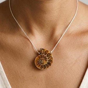 Spiral Shell Pattern Ammonite Fossil Necklace Genuine Prehistoric Specimen Pendant Jewelry Statement Piece Women Gift Golden Brown Amber Tones Ancient Marine Life Sterling Silver Chain Bohemian Style Natural History Collector Geological