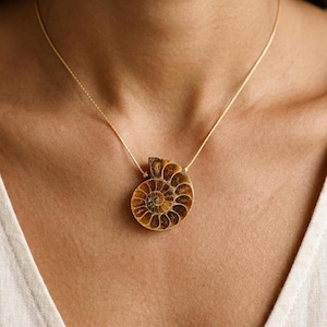 Genuine Ammonite Fossil Necklace Pendant Jewelry Ancient Marine Specimen Natural History Collector Gift Spiral Chambered Pattern Golden Brown Amber Tones Sterling Silver Chain Statement Piece Women Prehistoric Treasure Geological Formation