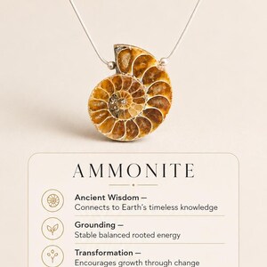 K&ouml;nnte beinhalten: Eine silberne Halskette mit einem Anh&auml;nger aus einem Ammonitenfossil. Der Anh&auml;nger in Braun- und Goldt&ouml;nen hat ein Spiralmuster. Das Bild enth&auml;lt den Text "Ammonit" und beschreibt seine Eigenschaften.