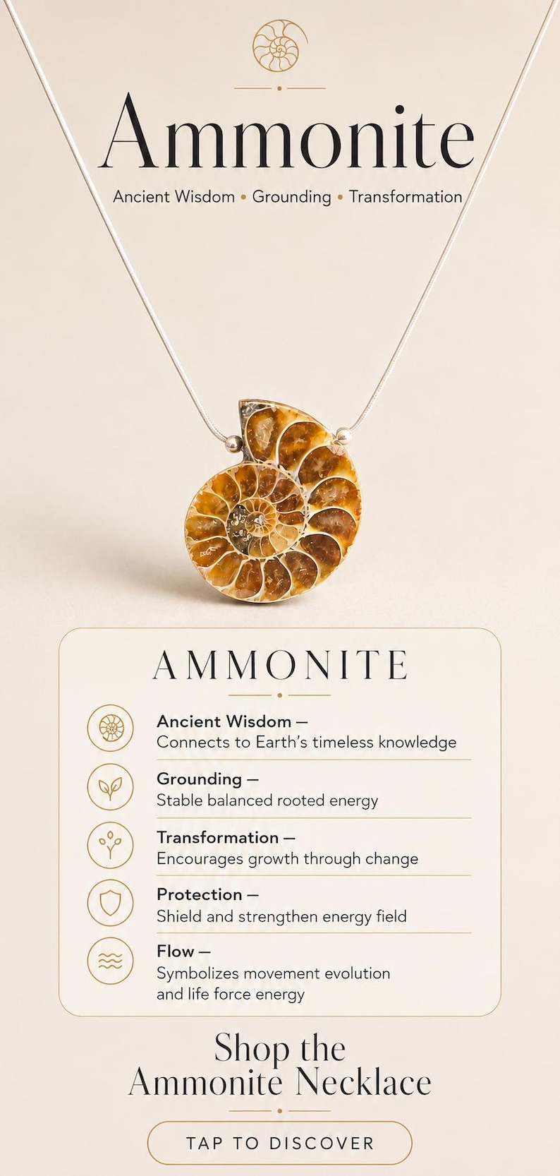 K&ouml;nnte beinhalten: Eine silberne Halskette mit einem Anh&auml;nger aus einem Ammonitenfossil. Der Anh&auml;nger in Braun- und Goldt&ouml;nen hat ein Spiralmuster. Das Bild enth&auml;lt den Text "Ammonit" und beschreibt seine Eigenschaften.