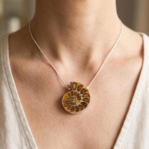 Ancient Marine Fossil Jewelry Genuine Ammonite Pendant Necklace Geological Specimen Gift Women Statement Piece Spiral Chambered Pattern Prehistoric Shell Golden Brown Amber Tones Sterling Silver Chain Natural History Collector Treasure